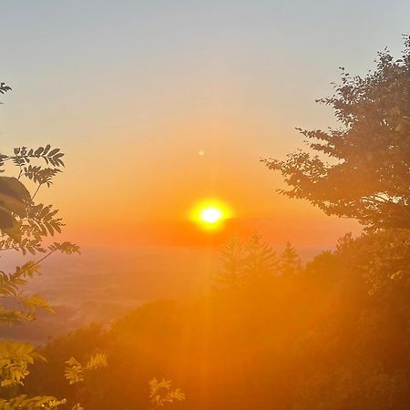 Ferienwohnung Sonnenschein 풀다 외부 사진
