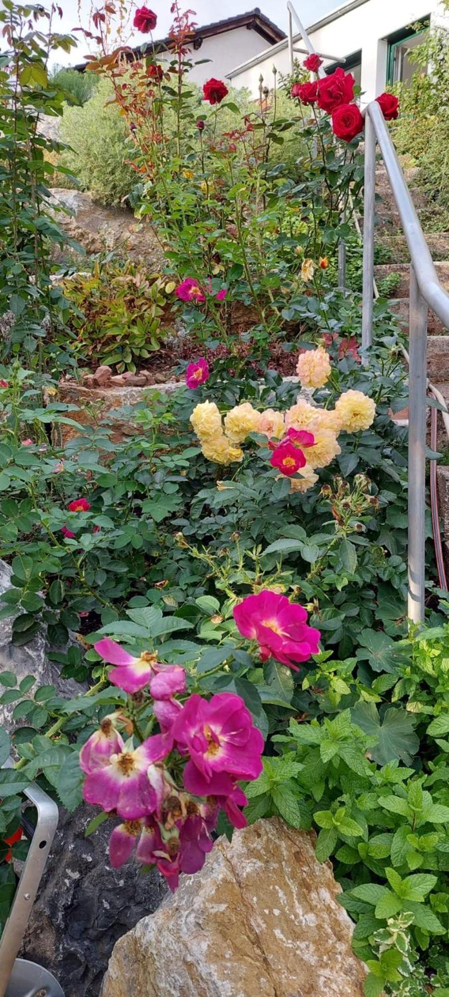 Ferienwohnung Sonnenschein 풀다 외부 사진